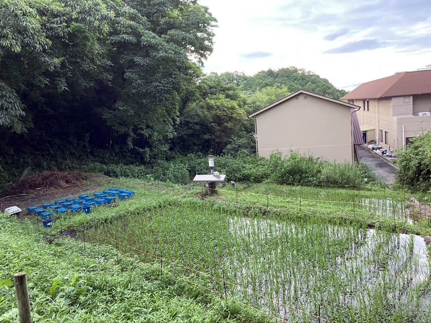 グローブライドが環境保全を支援する
近畿大学(奈良キャンパス)の里山におけるビオトープが
環境省「自然共生サイト」の認定評価を取得